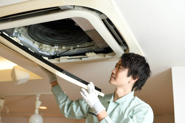 Air Duct Mold Removal in AZ